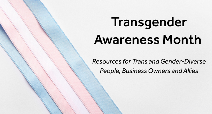 Photo of the Transgender flag made of blue, pink and white ribbons. "Transgender Awareness Month: Resources for Trans and Gender-Diverse people, business owners and allies"